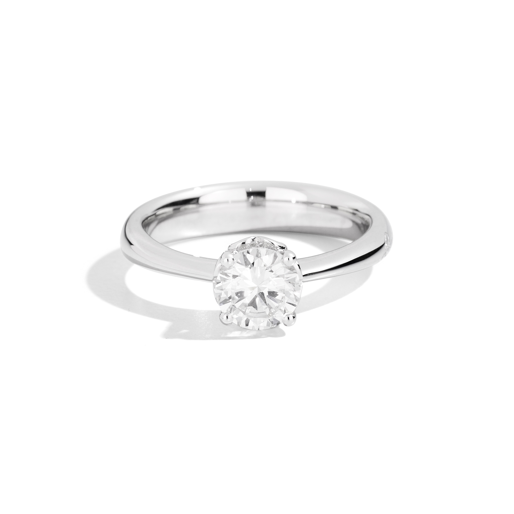 Bridal Anniversary Arctic Gold - Recarlo Detailansicht